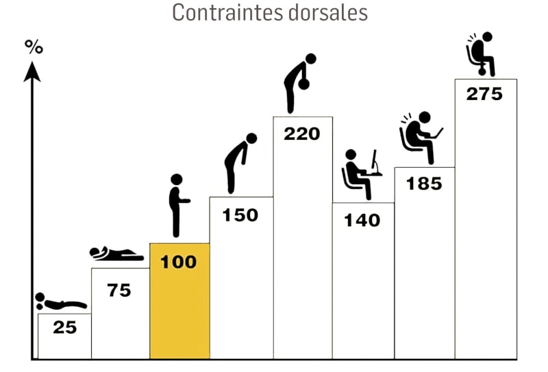 contraintes dorsales